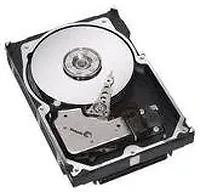 SEAGATE-ST3146755SS