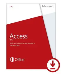 Microsoft-ACCESS2013
