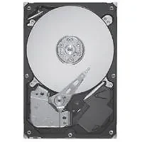 SEAGATE-ST3320413AS