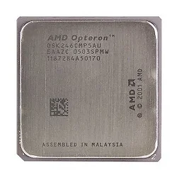 AMD-OSK246CMP5AU