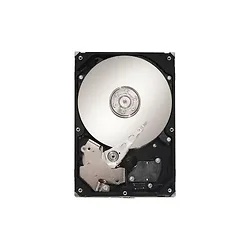 SEAGATE-ST1000VX000