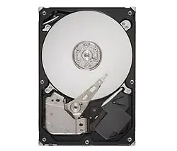SEAGATE-ST380815AS
