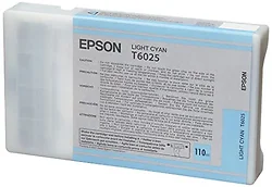 EPSON-T602500