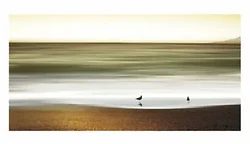 FIRST MOBILE TECHNOLOGIES-16371