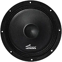 Audiopipe-APMB8FLT