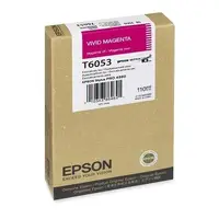 EPSON-T605300