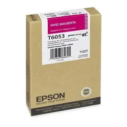 EPSON-T605300
