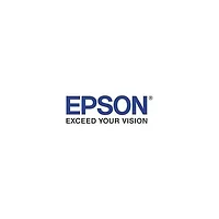 EPSON-V12H893020