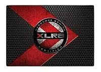 PNY Technologies-SSD7CS2211-960-RB