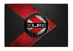 PNY Technologies-SSD7CS2211-960-RB