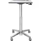 ERGOTRON-24-547-003
