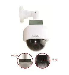 SECURITYMAN-SEC-DUMMYDOME