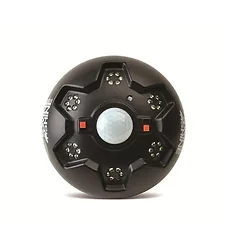 American Hunter-AH-HOGLITE