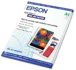 EPSON S041117