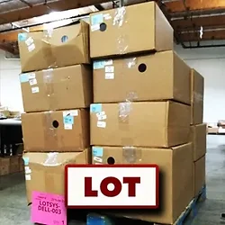 DELL-LOTSYS-DELL-003