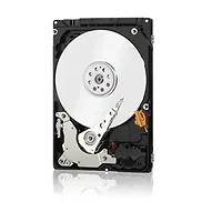 Western Digital-1W10099