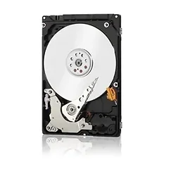 Western Digital-1W10099