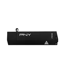 PNY Technologies-P-FDWS256SCE-FS