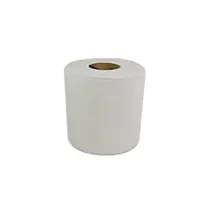 CAROLINA PAPER-CPX82001