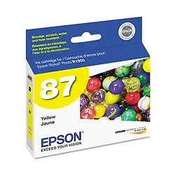 EPSON-EPST087420