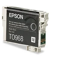 EPSON-T096820