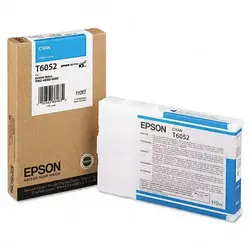 EPSON-T605200