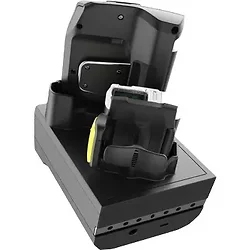 Zebra-CRD-NWTRS-2SUCH-01