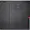 10N00008US