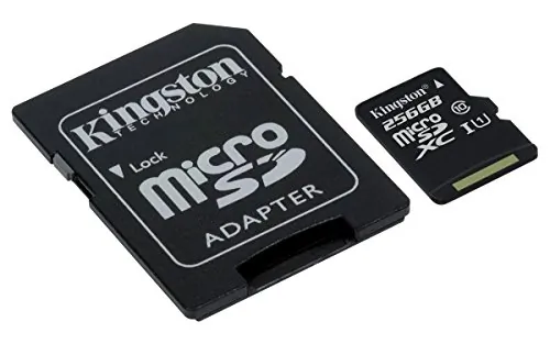 KINGSTON-SDCS256GB