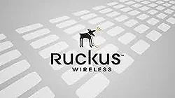Ruckus-901-P300-WW02