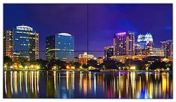 LG Electronics-55VH7B-A