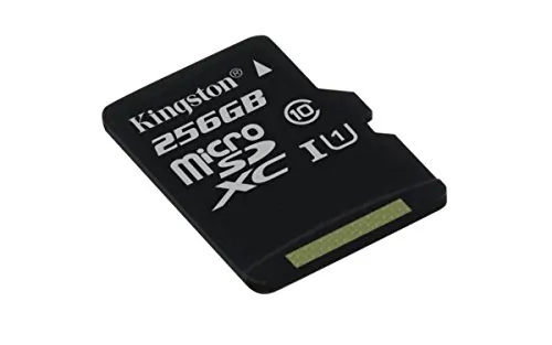 KINGSTON-SDCS256GBSP