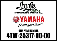 OEM TOOLS-25317