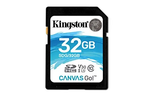 KINGSTON-SDG32GB