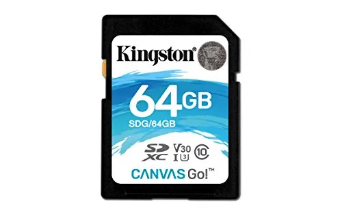KINGSTON-SDG64GB