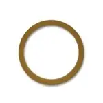Nippon Labs RING10R