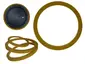 Nippon Labs-RING8R