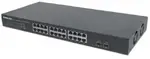 Intellinet 561044