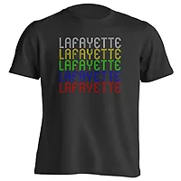 BLACK BOX CORPORATION-36862