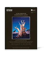 EPSON S041913