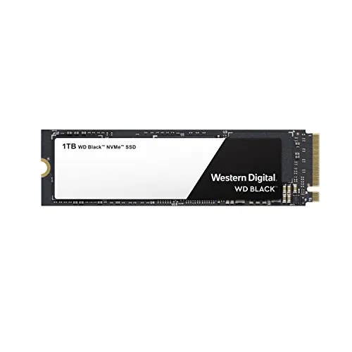 Western Digital-WDS100T2X0C