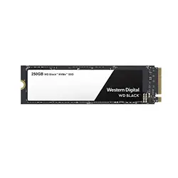 Western Digital-WDS250G2X0C