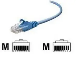 Belkin-A3L791-07BLU-50