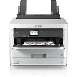 EPSON-C11CG06201