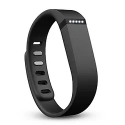 Fitbit-FB401CPPLSCOSTCE