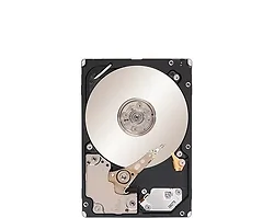 SEAGATE-ST9600205SS