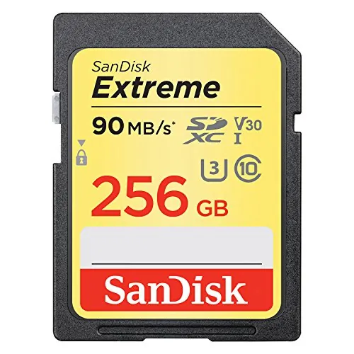 Western Digital-SDSDXVF256GANCIN