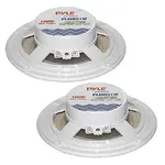 PYLE PLMR51W