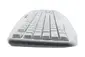 SEAL SHIELD-STWK503