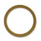 Nippon Labs-RING12R
